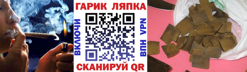 Купить где  Нестеров  ГАШИШ индика сатива 