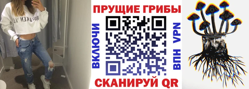 Галлюциногенные грибы Psilocybine cubensis  Купить где  Нестеров 