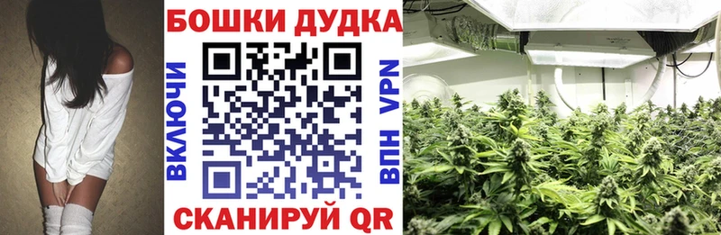 Конопля гибрид Купить Нестеров